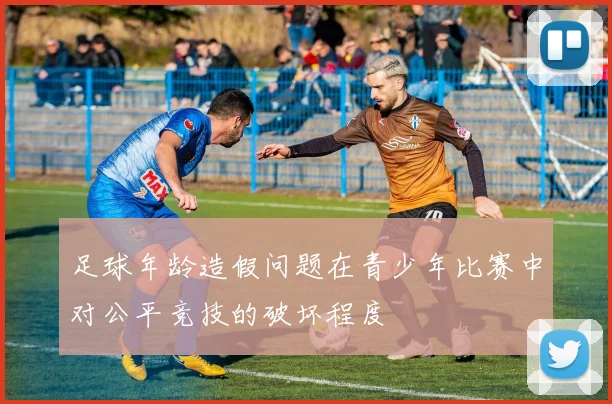 足球年龄造假问题在青少年比赛中对公平竞技的破坏程度