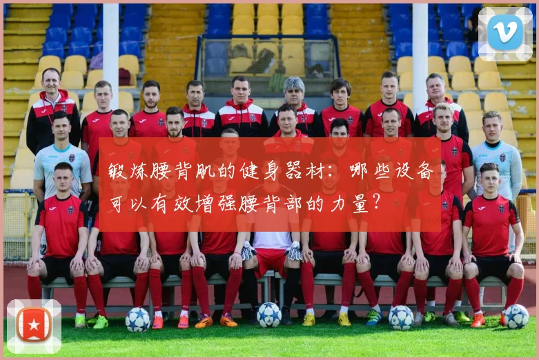 锻炼腰背肌的健身器材：哪些设备可以有效增强腰背部的力量？