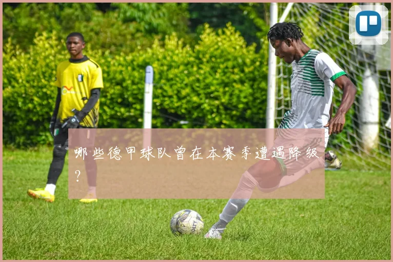 哪些德甲球队曾在本赛季遭遇降级？