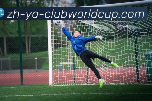 世界杯官网APP 高清赛事图